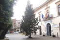 Albero di Natale in Piazza Umberto I