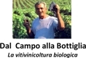 Agricoltura - Incontro nell'Aula Consiliare sulla vitivinicoltura biologica.