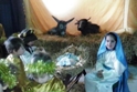 Inaugurato il Presepe Vivente nella Scuola dell'Infanzia