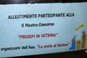 Immagini dei "Presepi in Vetrina"