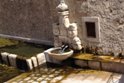 Invasa da muschio e piante acquatiche la fontana di Piazza Renzo Collura