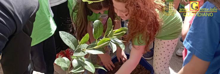 "Un albero per il futuro": nei plessi di Grotte la legalit mette radici