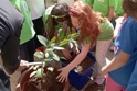 "Un albero per il futuro": nei plessi di Grotte la legalit mette radici
