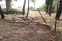 Atto vandalico nell'Area Fitness di Viale Lazio