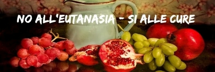 No all'eutanasia