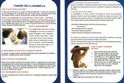 Screening gratuito per la prevenzione del tumore della mammella