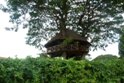 Casa sull'albero per i ricchi abitanti di Tanga
