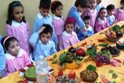 San Martino: la Scuola dell'Infanzia del "Roncalli" celebra la "Festa d'Autunno"