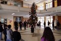 Cerimonia di accensione dell'albero di Natale al "Roncalli"