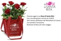 Rose di Santa Rita