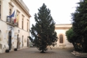 Albero di Natale in Piazza Umberto I