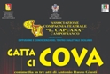 Gatta ci cova