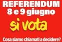 Referendum 2025: al voto su lavoro e cittadinanza