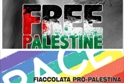 Corteo pro-Palestina organizzato dal PD di Grotte