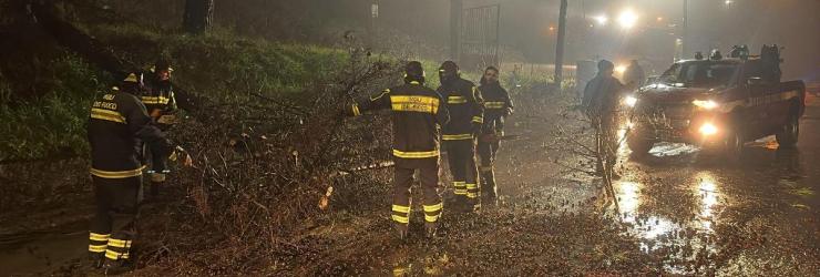  Albero cade in Via Pertini; strada riaperta nella notte