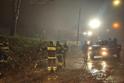  Albero cade in Via Pertini; strada riaperta nella notte