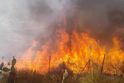 Ordinanza per la prevenzione degli incendi: divieti dal 15 maggio al 31 ottobre