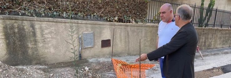 Pianticella al bordo dello scavo