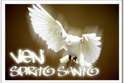 Domenica 27 maggio 2007: è Pentecoste! Vieni Santo Spirito, riempi il cuore dei tuoi fedeli e accendi in essi il fuoco del tuo amore.