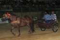  "Gran Galà Equestre": calesse fuori gara