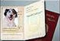 Ordinanza del Sindaco per l'obbligo di iscrizione dei cani all'anagrafe canina