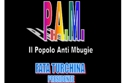 "P.A.M."; di Angelo Costanza
