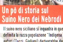 Gemellaggio dei "Neri di Sicilia" tra Grotte e Militello Rosmarino, nel Parco dei Nebrodi