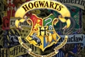 Associazioni - Preparativi per il nuovo Groest, all'insegna della scuola di "Hogwarts".