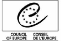 Unione Europea: codice di buona condotta elettorale