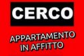 Cercasi appartamento in affitto