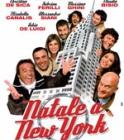Al Cine -Teatro "A. Liotta" il film "Natale a New York"